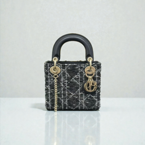 Mini Lady Dior Bag