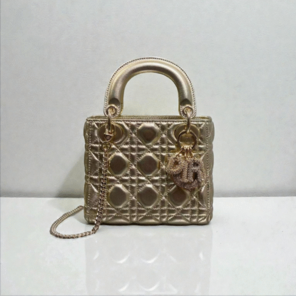 Mini Lady Dior Bag