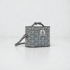 Goyard Muse Nano Vanity Bag - Grey
