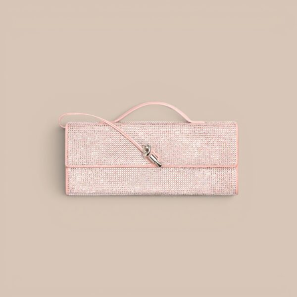 Bottega Veneta Andiamo Clutch