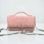 My Dior Mini Bag