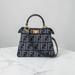 Fendi Peekaboo ISeeU Petite Bag