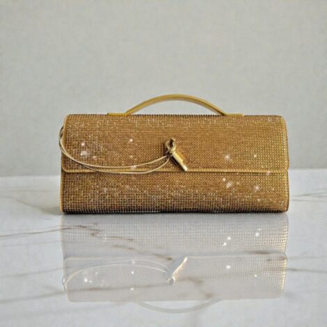 Bottega Veneta Andiamo Clutch