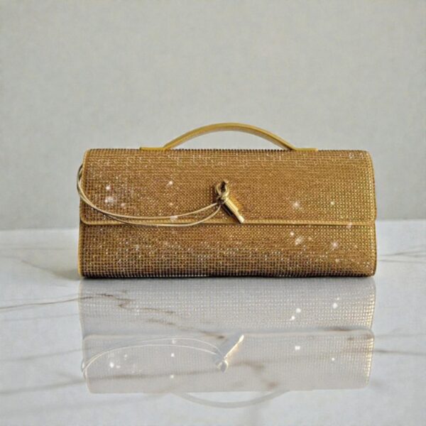 Bottega Veneta Andiamo Clutch