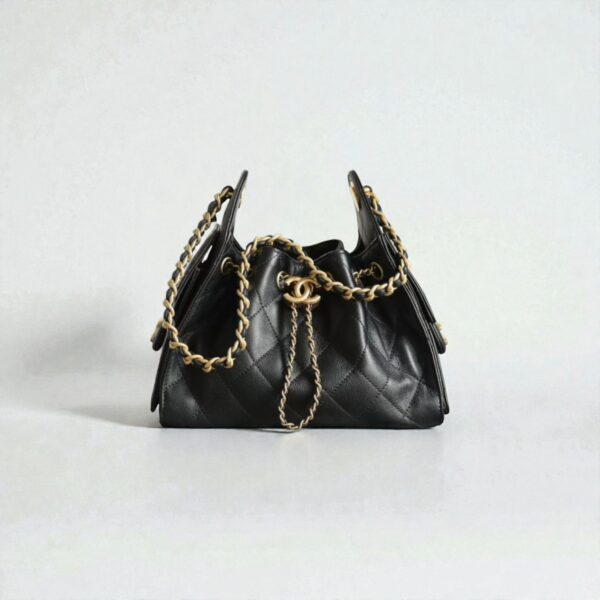 Chanel 25 Mini Handbag