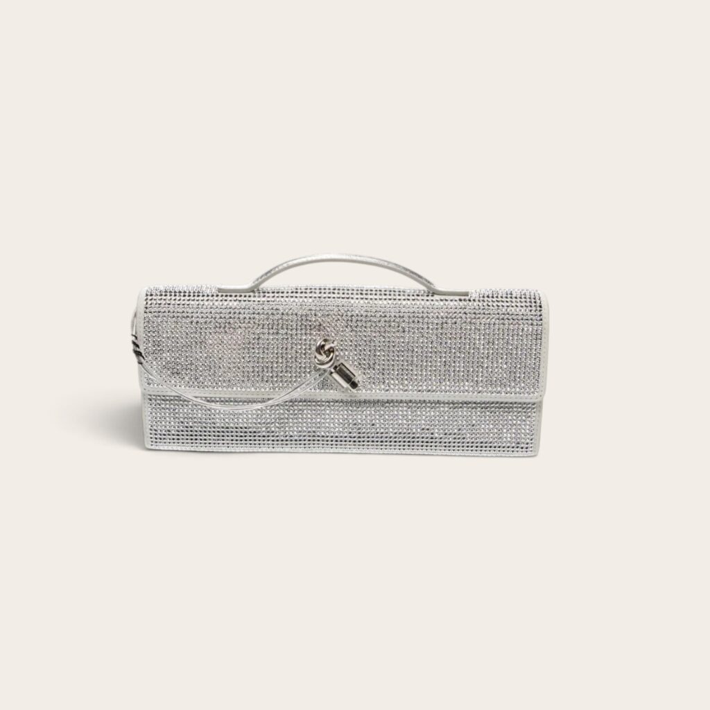 Bottega Veneta Andiamo Clutch