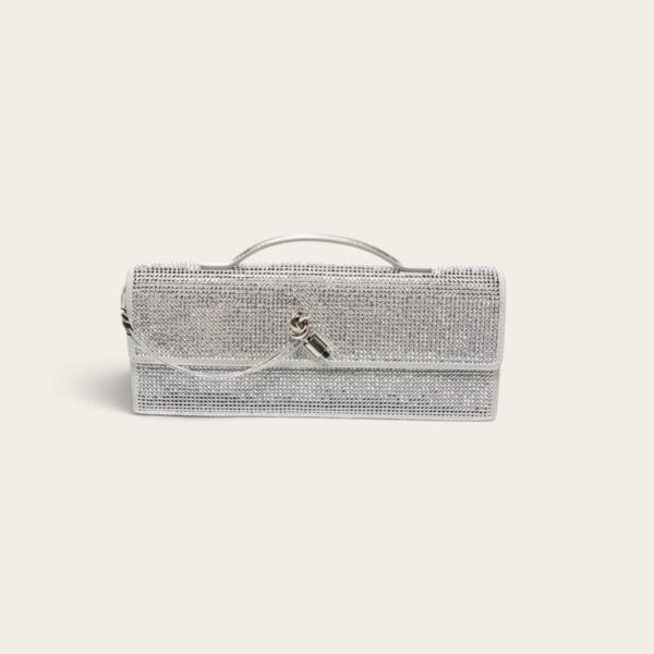 Bottega Veneta Andiamo Clutch