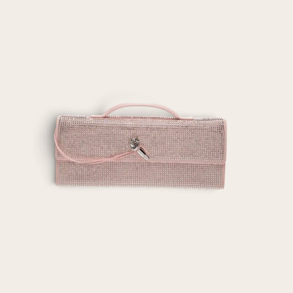 Bottega Veneta Andiamo Clutch