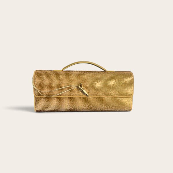 Bottega Veneta Andiamo Clutch