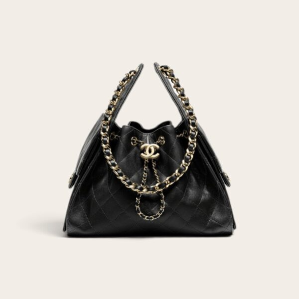 Chanel 25 Small Handbag