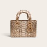 Dior Lady D-Joy Micro Bag