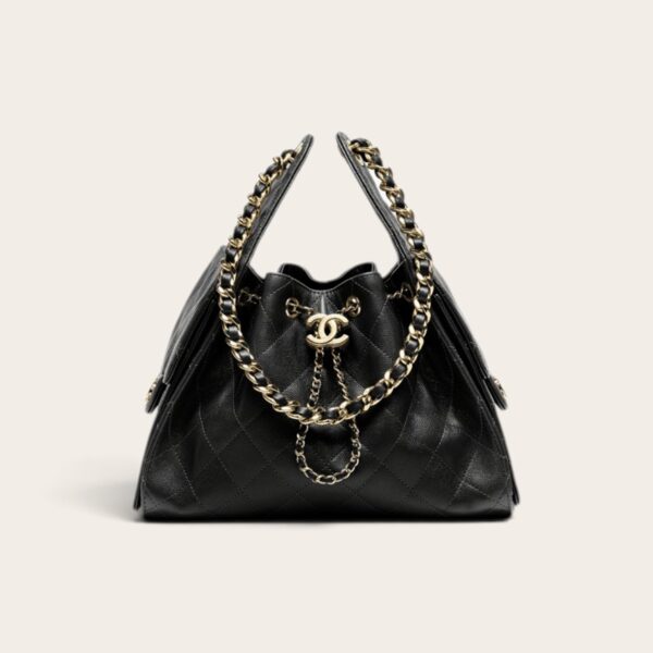 Chanel 25 Mini Handbag