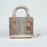 Lady Dior Mini Bag
