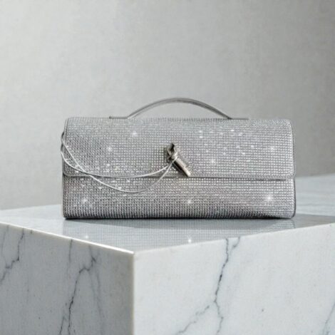 Bottega Veneta Andiamo Clutch