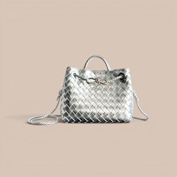 Bottega Veneta Small Andiamo Bag