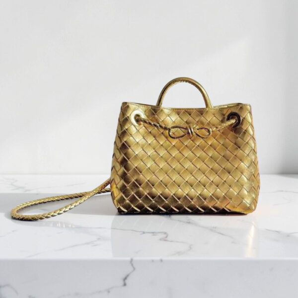 Bottega Veneta Small Andiamo Bag