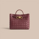 Bottega Veneta Mini Andiamo Bag