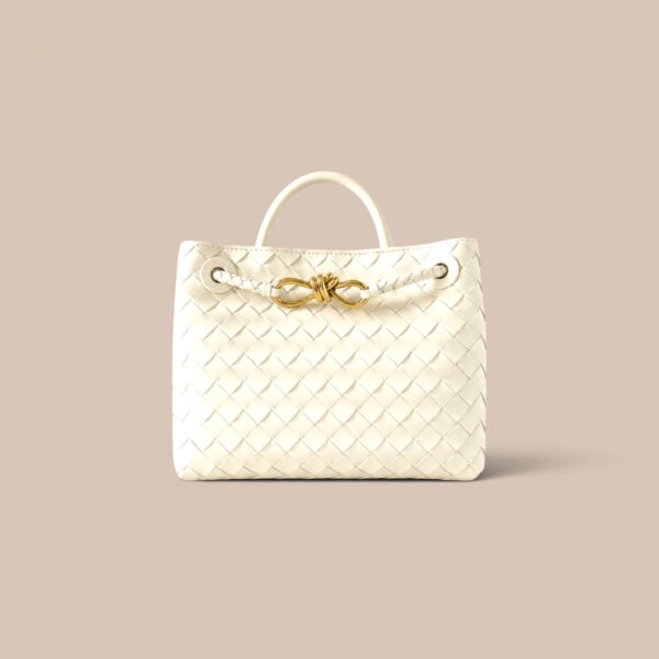 Bottega Veneta Mini Andiamo Bag