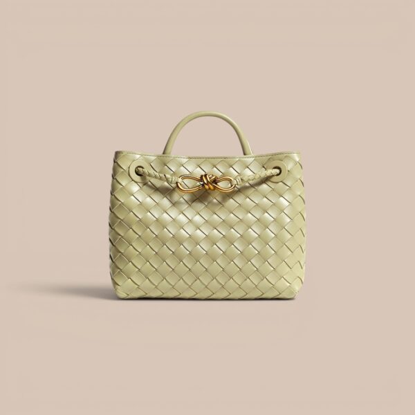 Bottega Veneta Mini Andiamo Bag