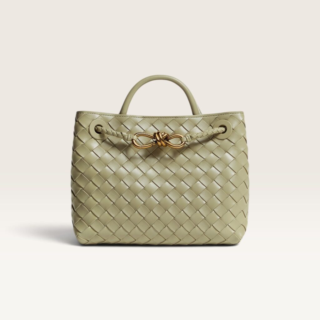Bottega Veneta Mini Andiamo Bag