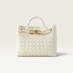 Bottega Veneta Mini Andiamo Bag