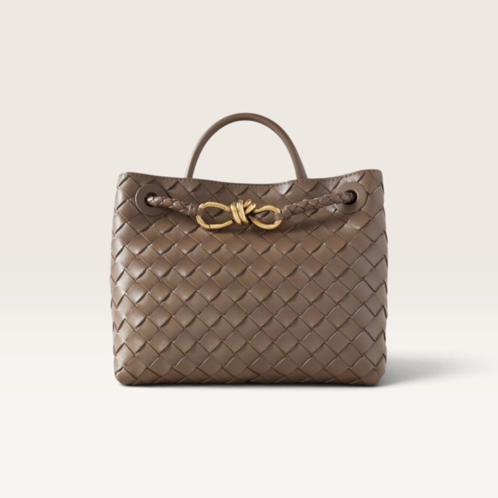 Bottega Veneta Mini Andiamo Bag