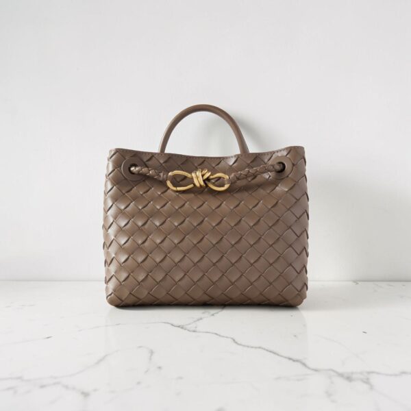 Bottega Veneta Mini Andiamo Bag