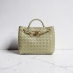 Bottega Veneta Mini Andiamo Bag