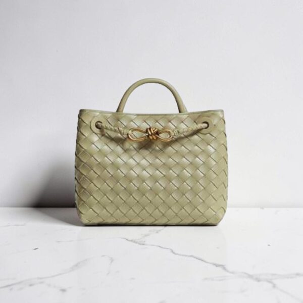Bottega Veneta Mini Andiamo Bag