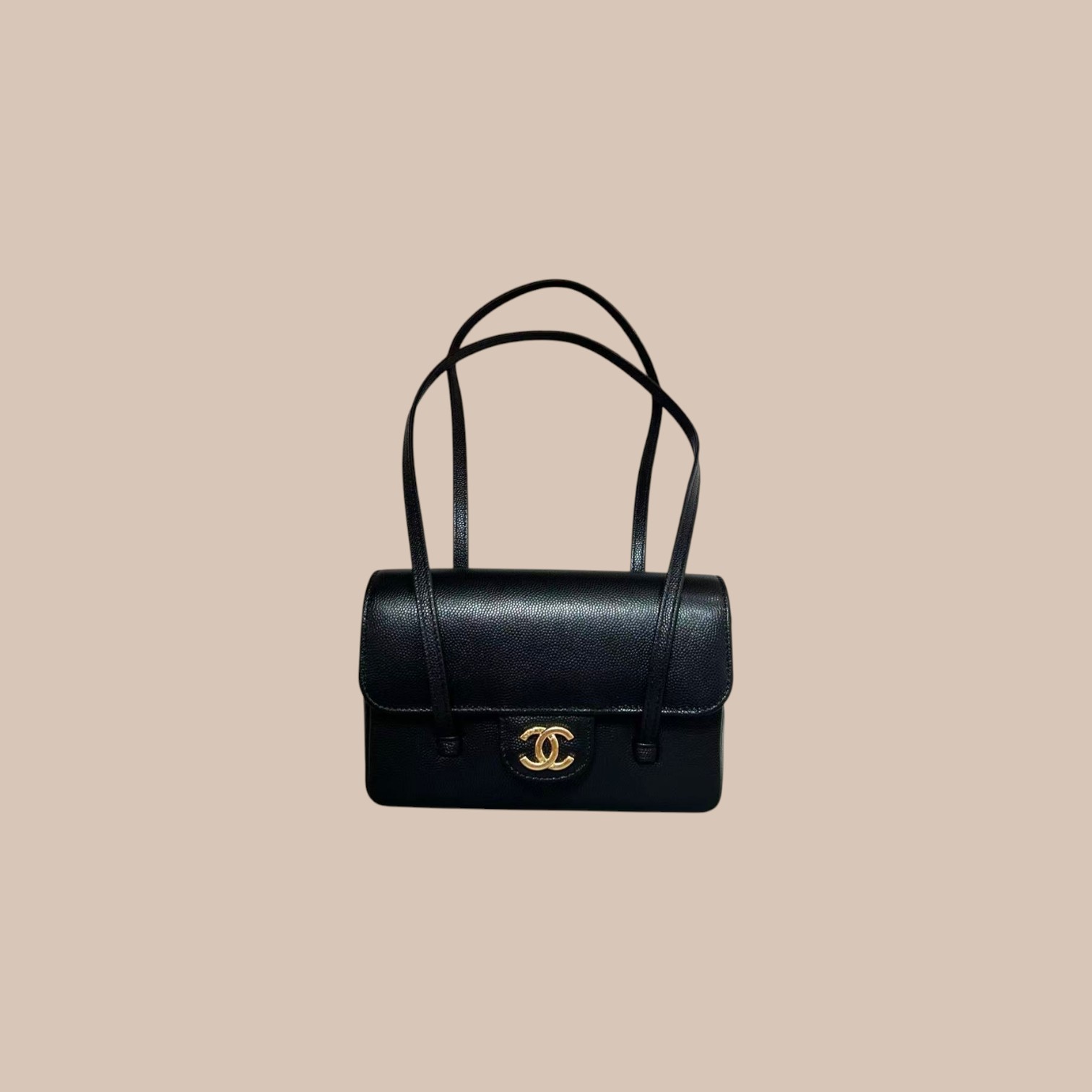 Chanel Small Preppy Coco Flap Bag