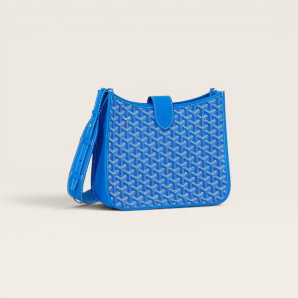 Goyard Musette bag