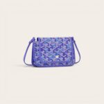 Goyard Plumet pouch-wallet Bag