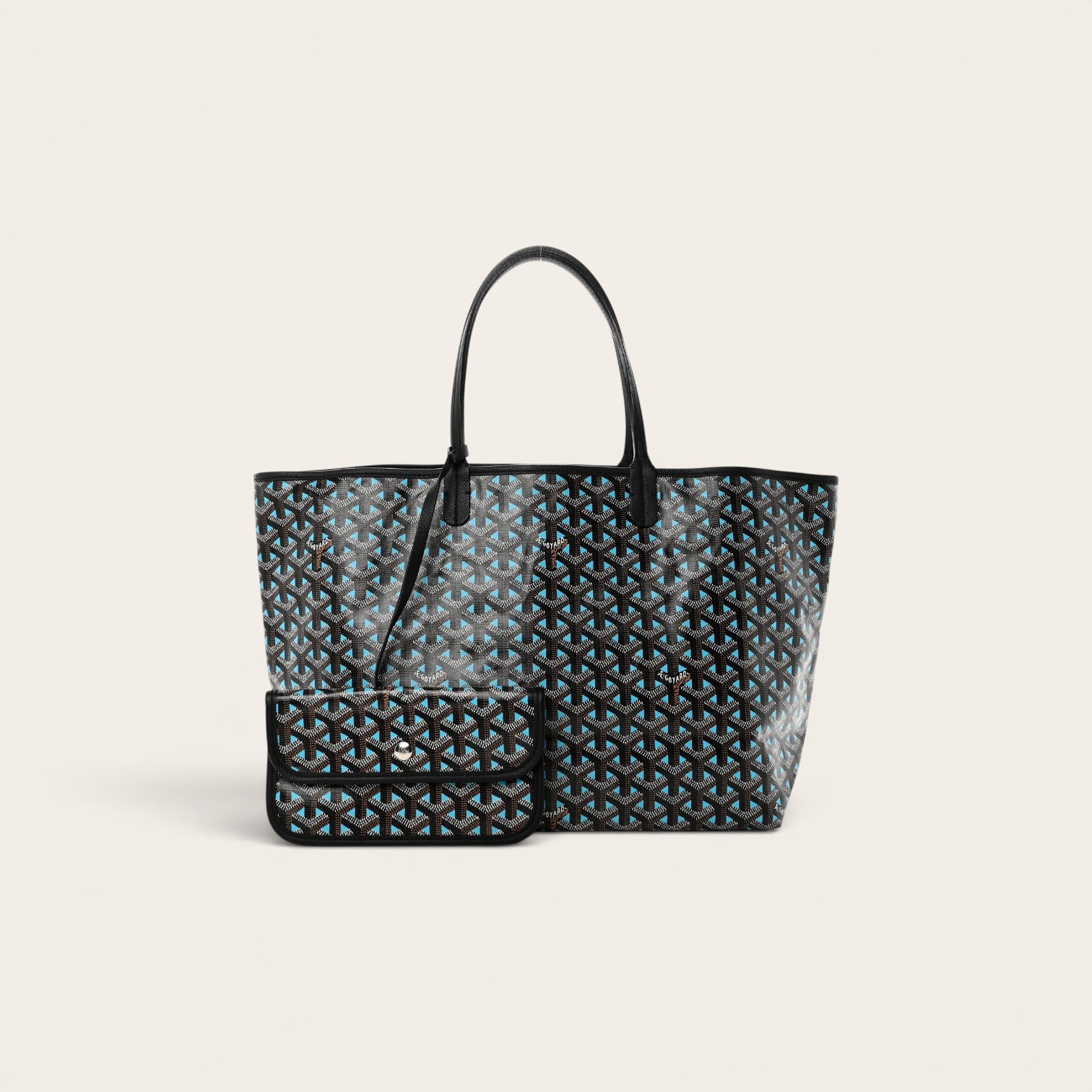 Goyard Saint Louis Claire Voie PM Bag