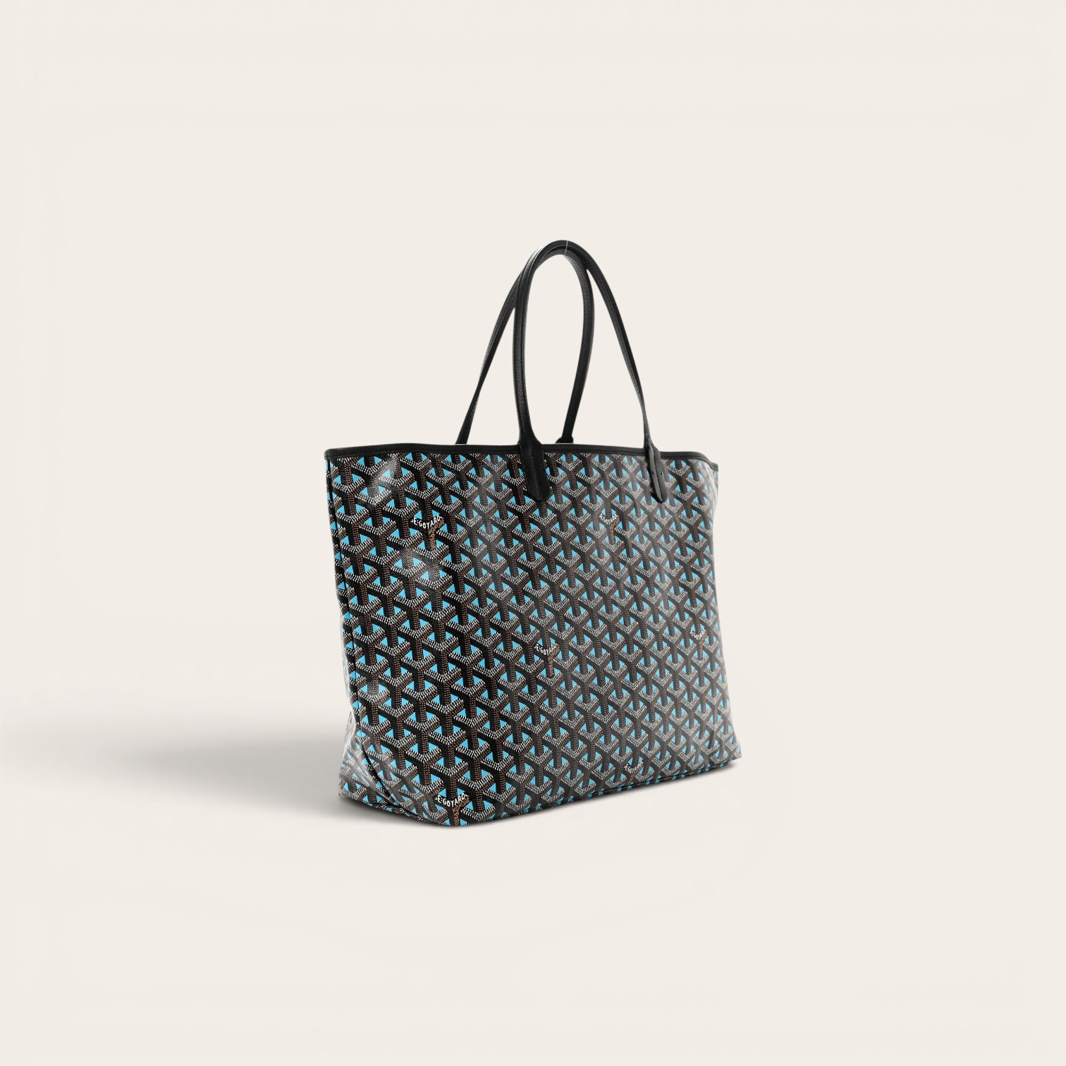 Goyard Saint Louis Claire Voie PM Bag - Image 2