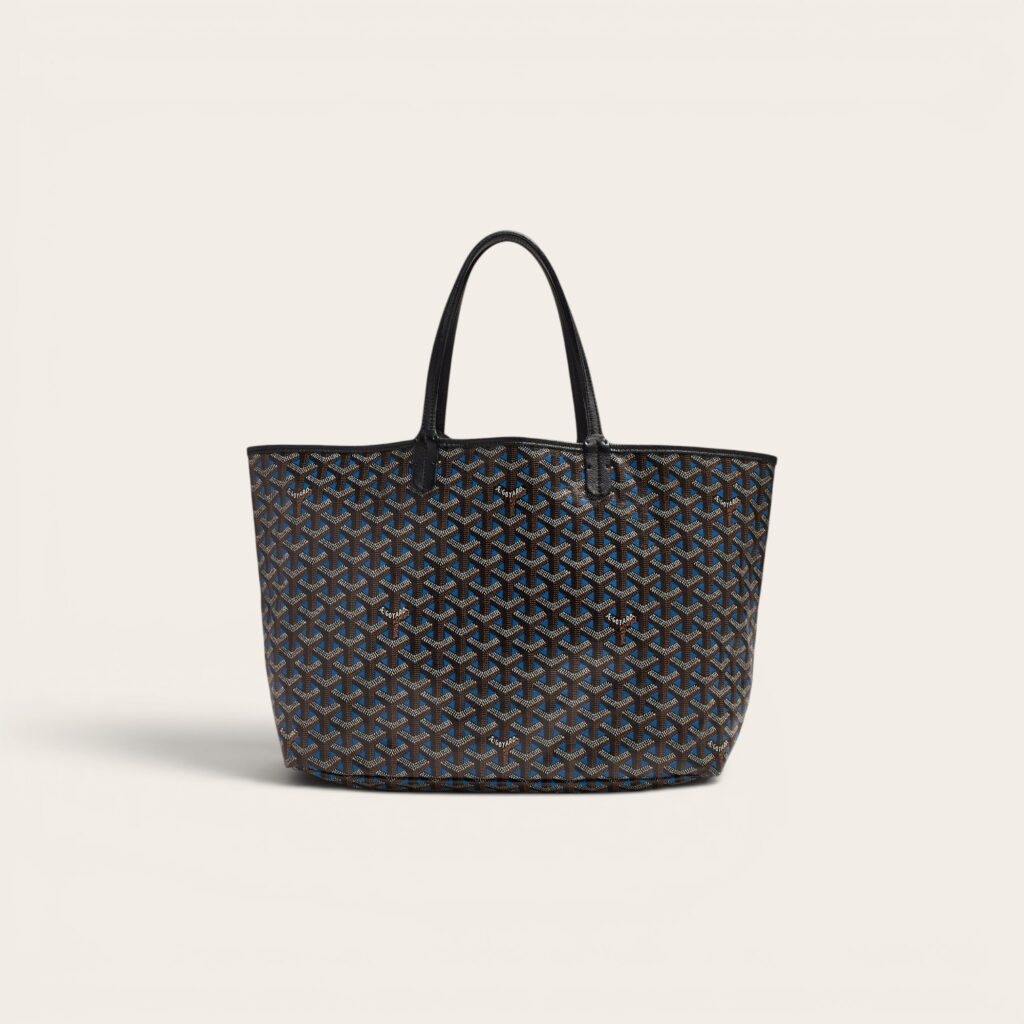 Goyard Saint Louis Claire Voie PM Bag