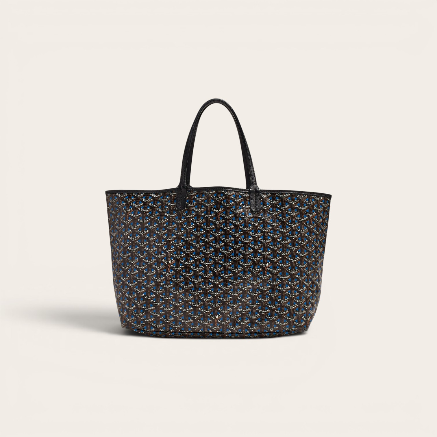 Goyard Saint Louis Claire Voie PM Bag