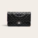 Chanel Classic Double Flap Bag