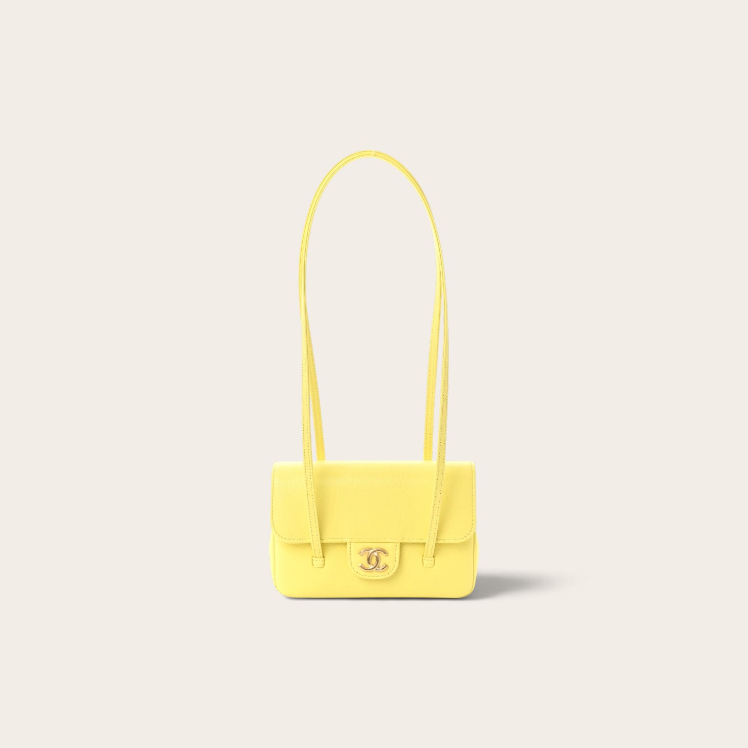 Chanel Small Preppy Coco Flap Bag