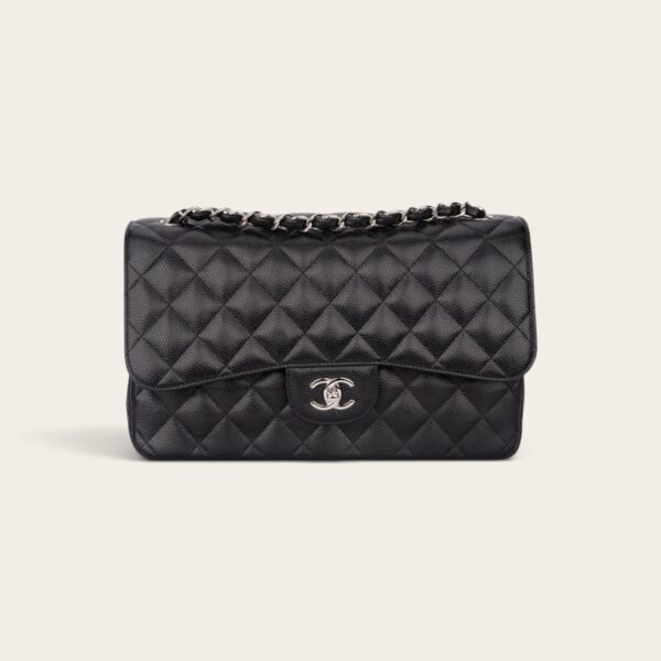 Chanel Classic Double Flap Bag